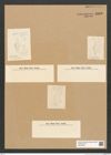 Diatomeae indet. Zeichnungen Sammlung Grunow Nr. 5833 (NHMW-BOT-W0374262)